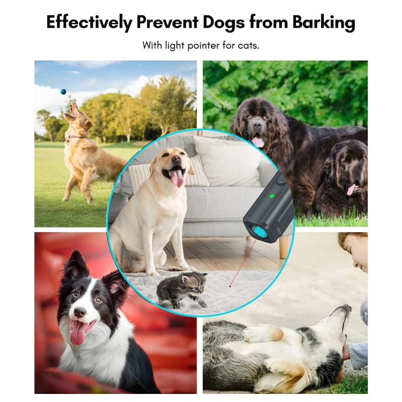 Handheld Dog Training Device with Lanyard