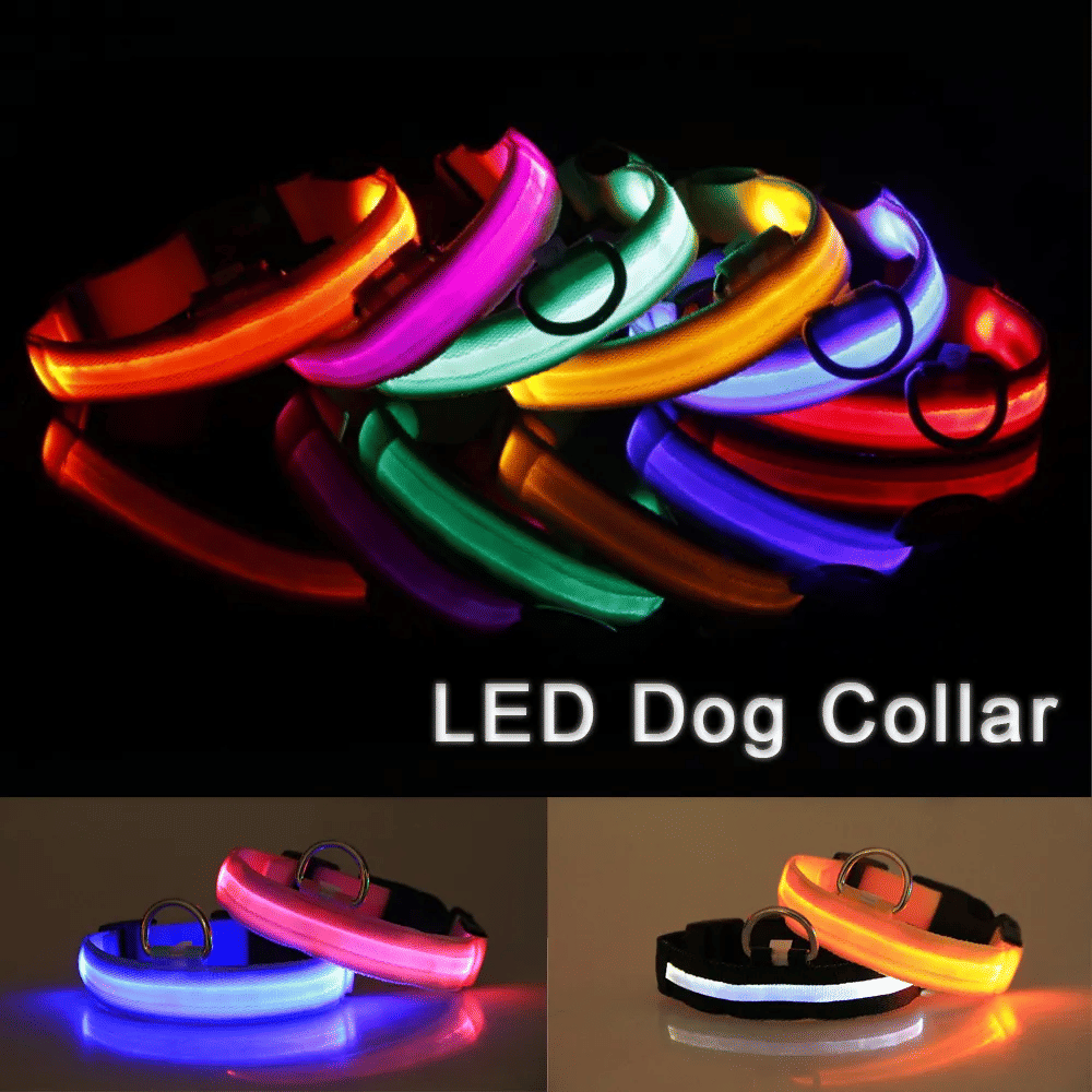 LED Adjustable Dog Collar Blinking Flashing Light Up Glow Pets Safety Waterproof