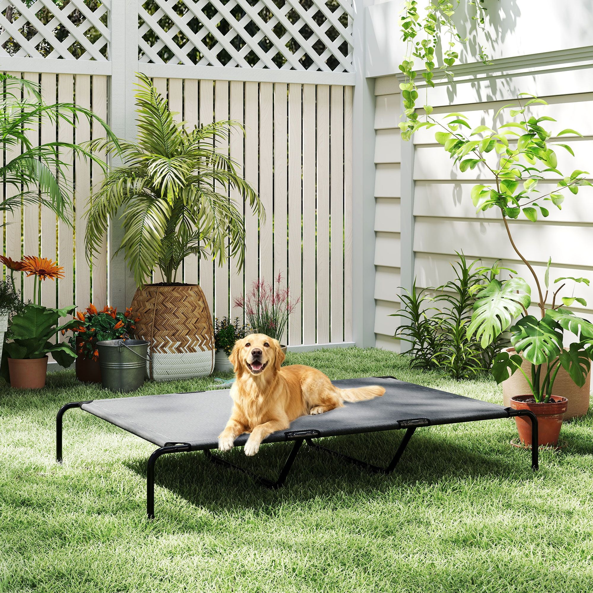 Elevated Dog Bed for Large Breeds Gray 60"L