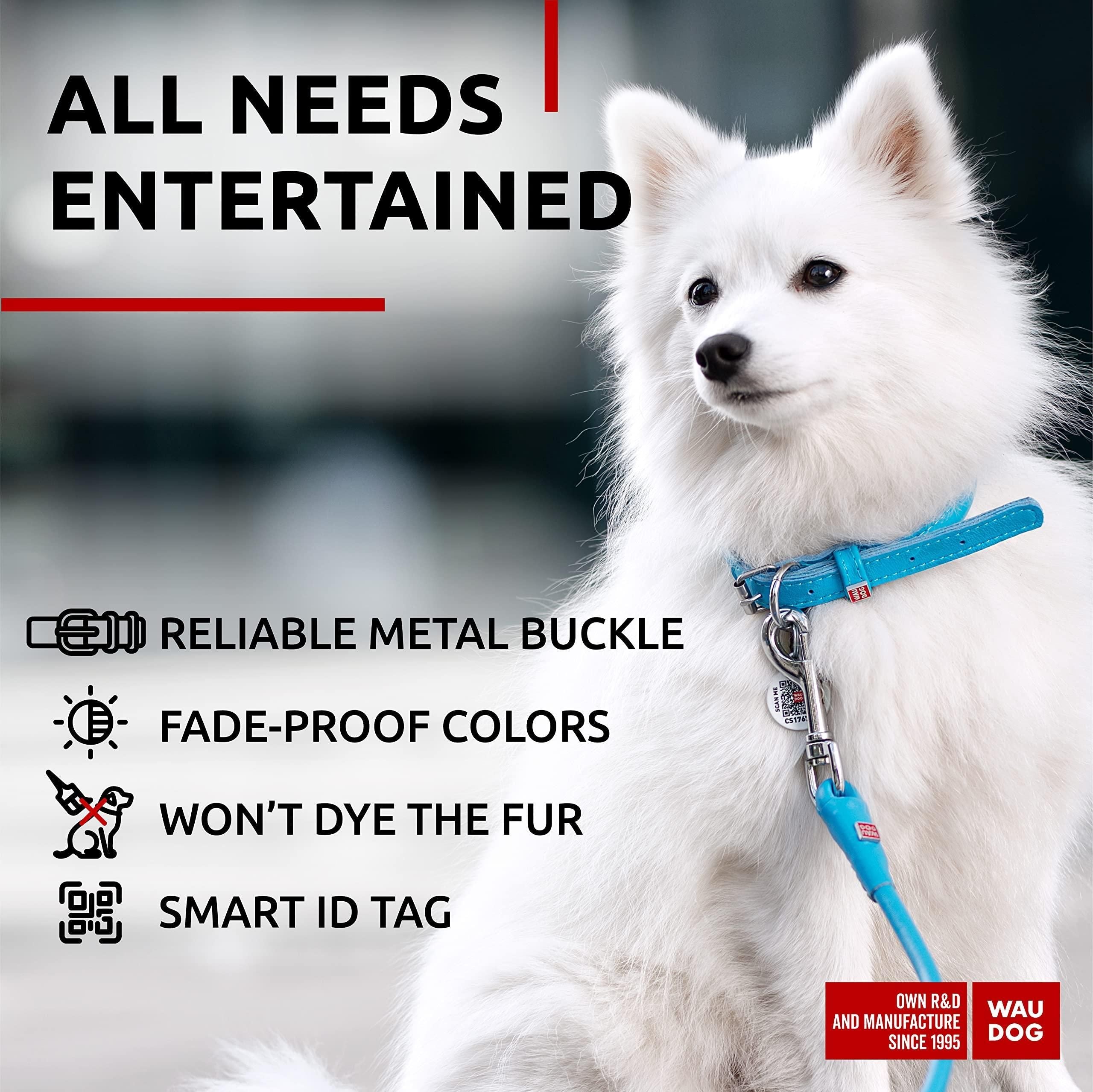 Ultra Soft Rolled Leather Dog Collar for Small Dogs 10 - 13 inch Neck Soft Padded Dog Collars for Medium Dogs Puppy Collars for Large Breed Dogs Male and Female Dog Collar