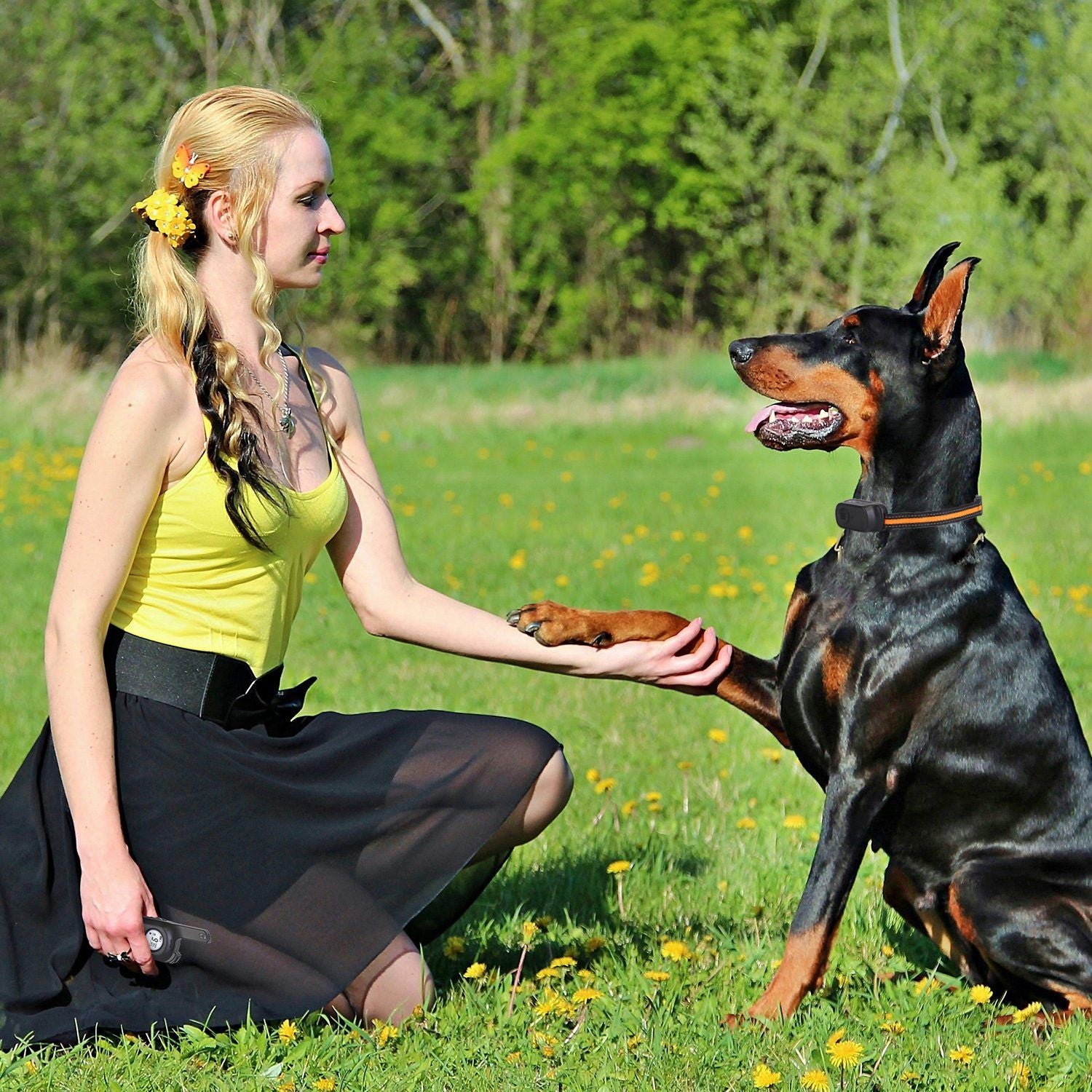 984FT Dog Training Collar IP65 Waterproof Pet Beep Vibration Electric Shock Collar 3 Channels Rechargeable Transmitter Receiver Trainer with Recording Safety Keypad Lock