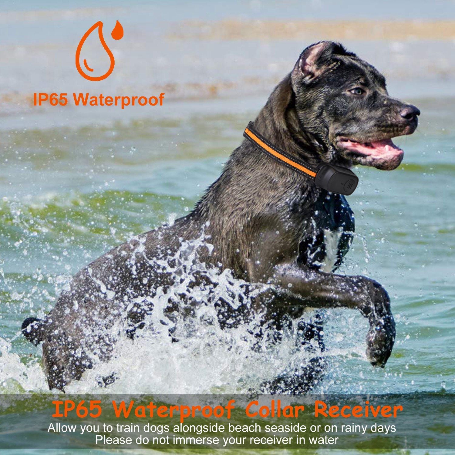 984FT Dog Training Collar IP65 Waterproof Pet Beep Vibration Electric Shock Collar 3 Channels Rechargeable Transmitter Receiver Trainer with Recording Safety Keypad Lock