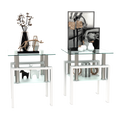 Set of 2, Modern Tempered Glass Tea Table Coffee Table End Table, Square Table for Living Room, Transparent/White