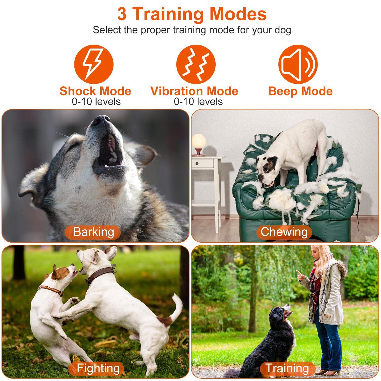 Electric Dog Training Collar Rechargeable Receiver Beep Vibration Shock