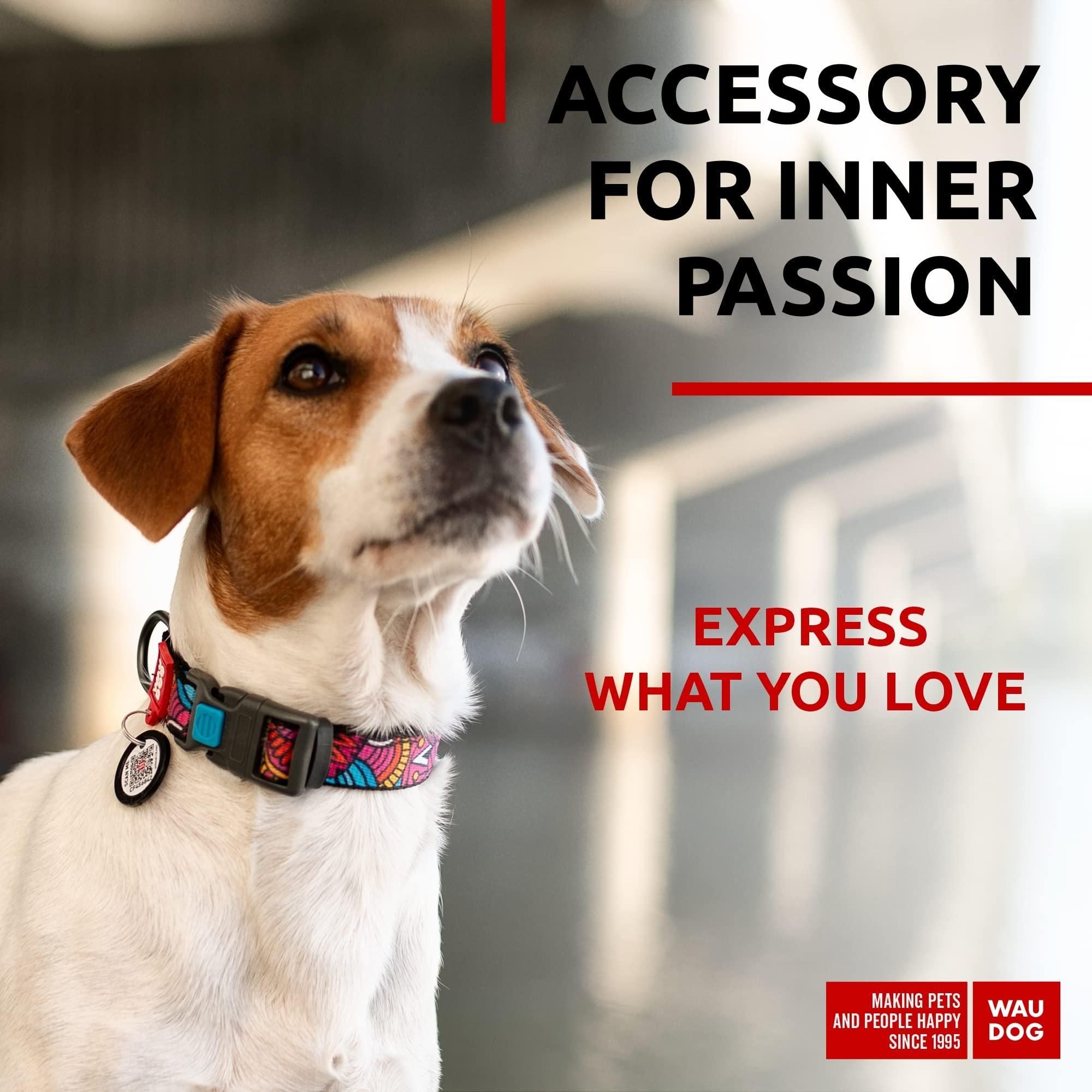 Nylon Dog Collar Adjustable for Large Dogs Small Medium Dogs 9-14 inch Neck x 3/5 inch Wide  Breakaway Collars for Boy Girl Dog with Durable Plastic Buckle and QR Dog Tag
