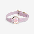 Luxury Spill-Proof Dog Collar Embedded with Healing Crystal
