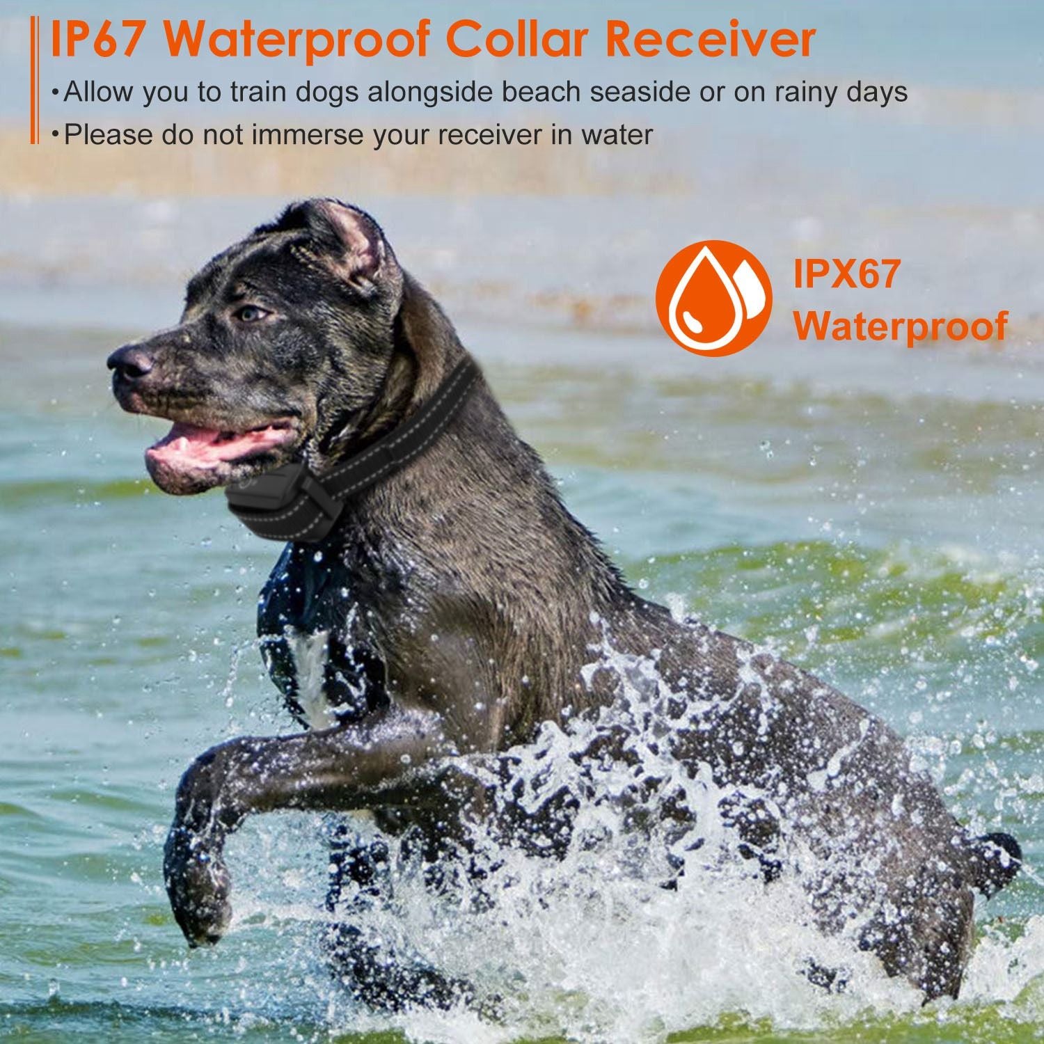 3280FT Dog Training Collar IP67 Waterproof Pet Beep Vibration Electric Shock Collar 3 Channels Rechargeable Transmitter Receiver Trainer with Flashlight