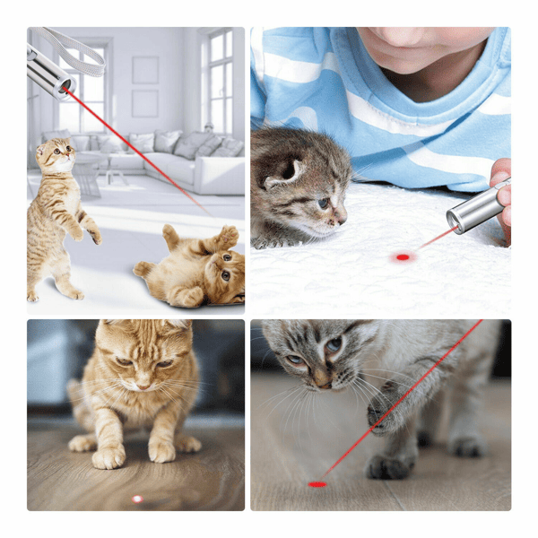 2PCS 3 in1 1mw USB Rechargeable Pet Toy Pen Flashlight Red laser Beam UV Light 3-Modes Lamp