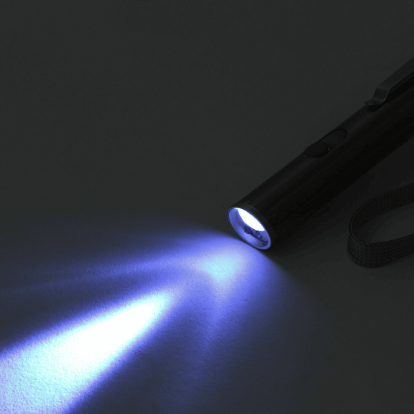 2PCS 3 in1 1mw USB Rechargeable Pet Toy Pen Flashlight Red laser Beam UV Light 3-Modes Lamp
