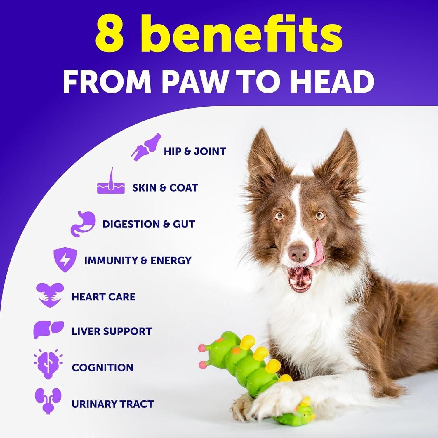 Dog Multivitamin Chewable with Glucosamine 20 in 1 Dog Vitamins and Supplements Senior & Puppy Multivitamin for Dogs Pet Joint Support Health Immunity Mobility Gut Skin 120 Chews